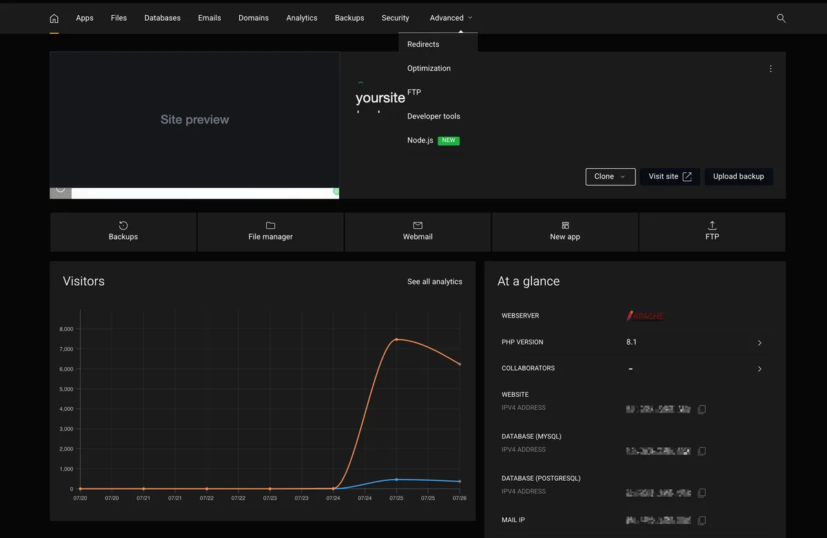 Site dashboard in the Litehost panel, showing visitor analytics and server details at a glance
